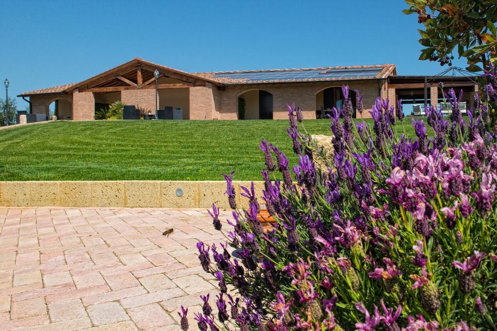 Apartament Agriturismo Deni Cenaia Zewnętrze zdjęcie